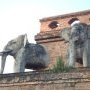 Des gardiens elephants