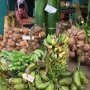 Bananes ou cocos, a acheter en gros